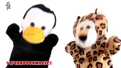Happy Birthday To You Song - Funny  Penguin & Tiger puppets children rhymes Kids English Learning Songs