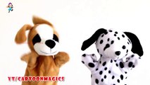 Funny  Puppy Dog & Cute Dog puppets Kids Songs