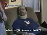 Tourettes guy! bird in the house