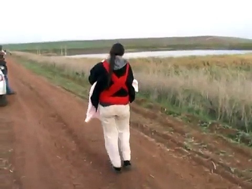 זרזירים בריקוד השינה במאגר עין חרוד מאוחד