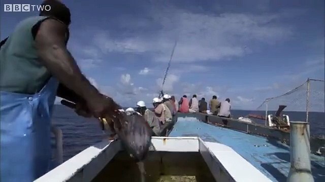 Böyle Orkinos Avı Görmediniz!