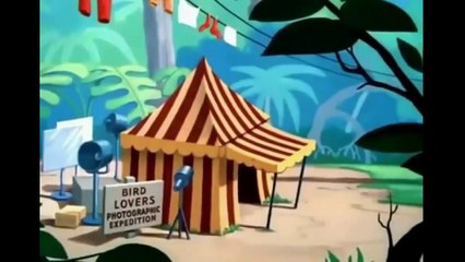 Donald Duck   Clown of the Jungle