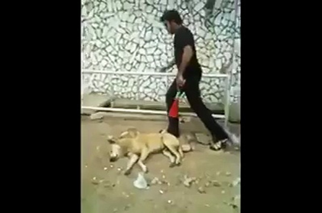 VERY FUNNY VEDIO 122