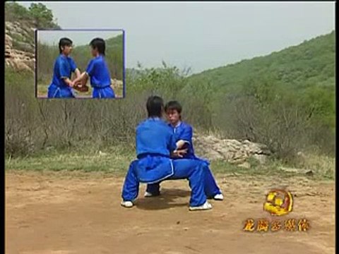 Shaolin 6 combats kung fu liu he quan duet form 4 of 4