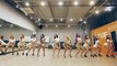 Sistar - Shake It (Dance Practice) | 씨스타 [ 1080p 60fps ]