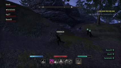 The Elder Scrolls Online FKK Boxer