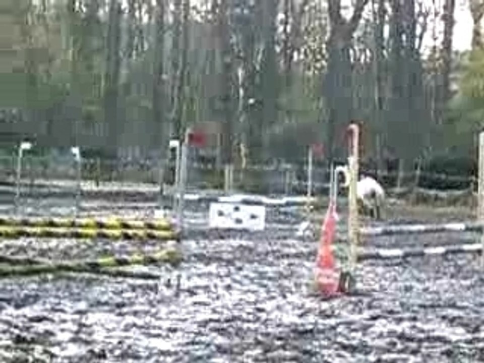 Camille et Cocon compétition CSO