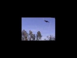 Wei-junior-entreprise-isc-promo-etudes