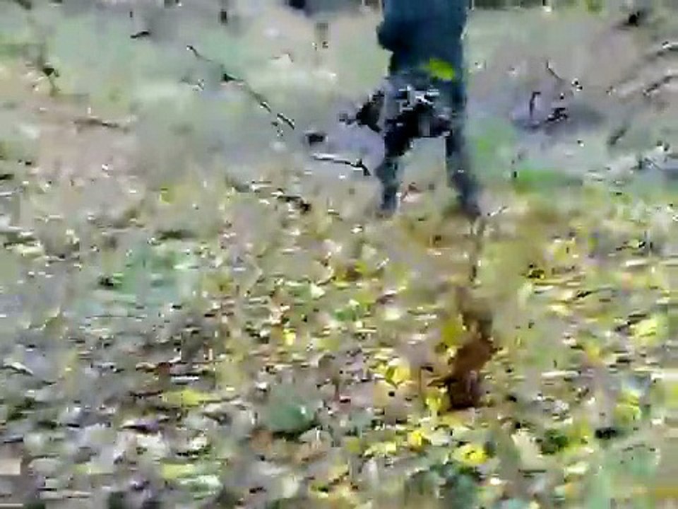 Hunting for wild pig in Bulgaria (Beloslav) .mp4