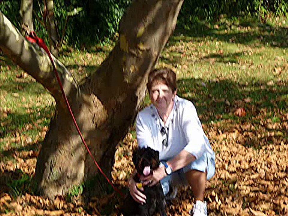 Love Me Like My Dog Does - if you wanna be my friend.wmv