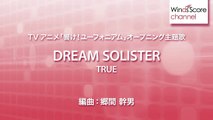 DREAM SOLISTER/TRUE（吹奏楽J-POP）