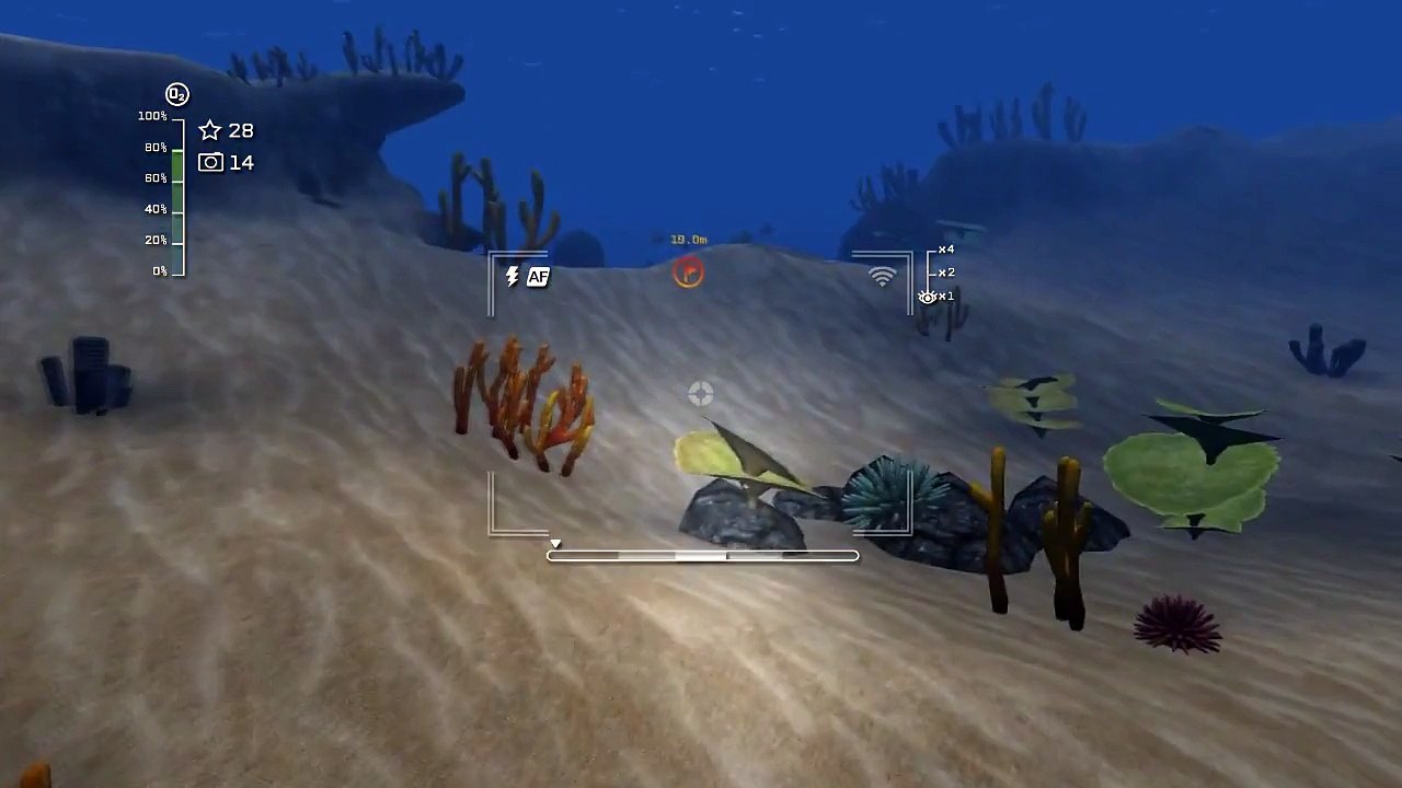 Fire Plays...Reef Shot!