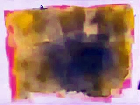 Arrigo Sacchi imitato da Crozza parla del cromosoma x italiano.