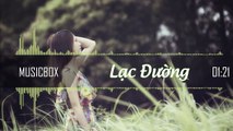 Lạc Đường Remix - Phạm Trưởng