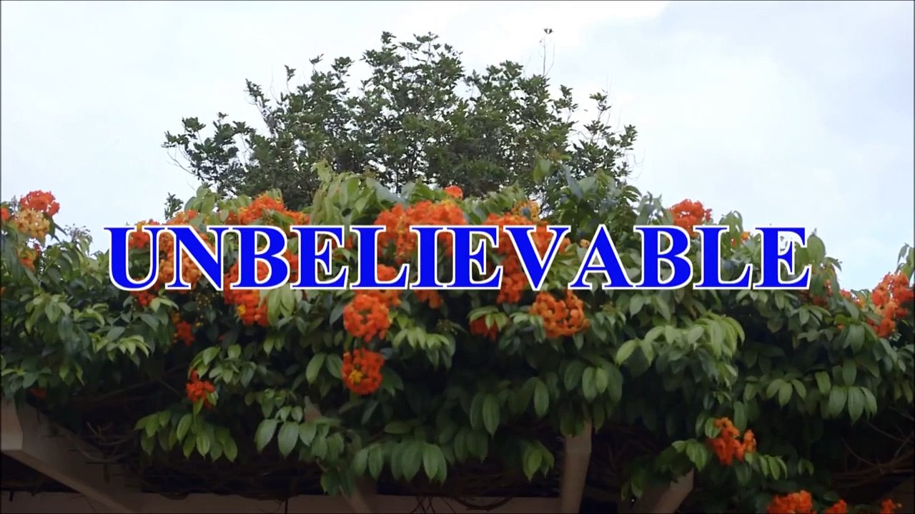 Unbelievable - I so stunned like vegetable (Spouse For House 2 MV)