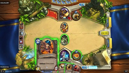 Fire Plays... Hearthstone