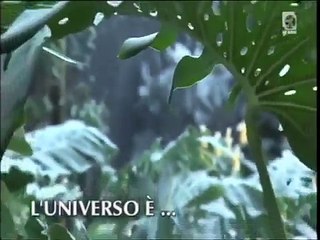 Tv Koper - Capodistria - Rullo programmi della giornata e apertura trasmissioni