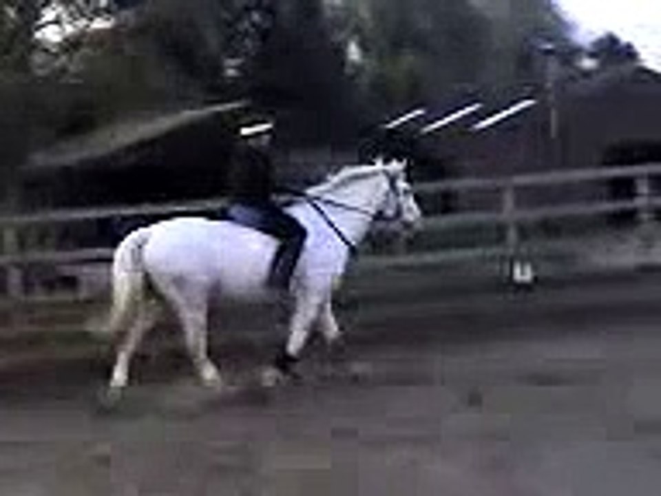 Bareback horse riding