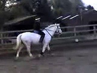 Bareback horse riding