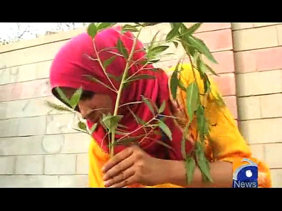 Planting Trees-Geo Reports-01 Aug 2015