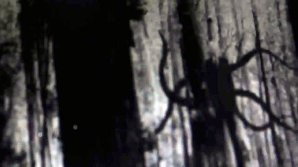 Slenderman - CreepyPasta