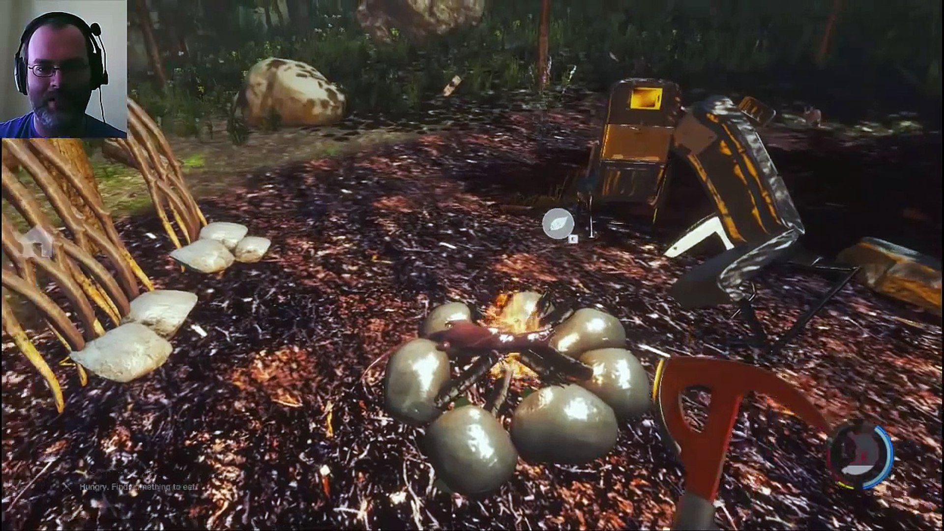 ⁣The Forest | Part 6 | Calm Forest