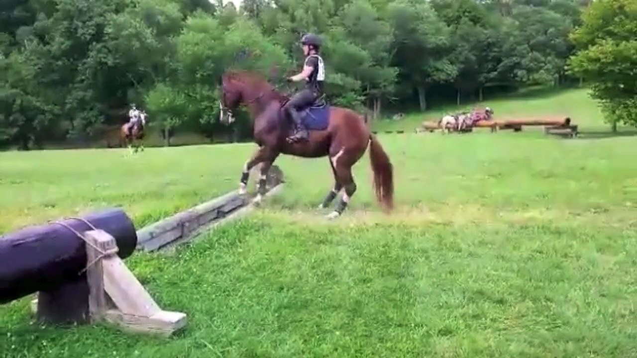 J'y vais? J'y vais pas? Cheval face à un petit obstacle - Très hésitant et très marrant!