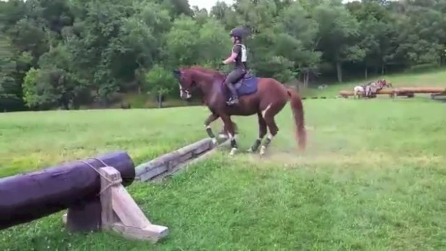 Funny Horse thinks twice before jumping little ditch at training!