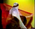 Belly Dancer Badawia - 1978 