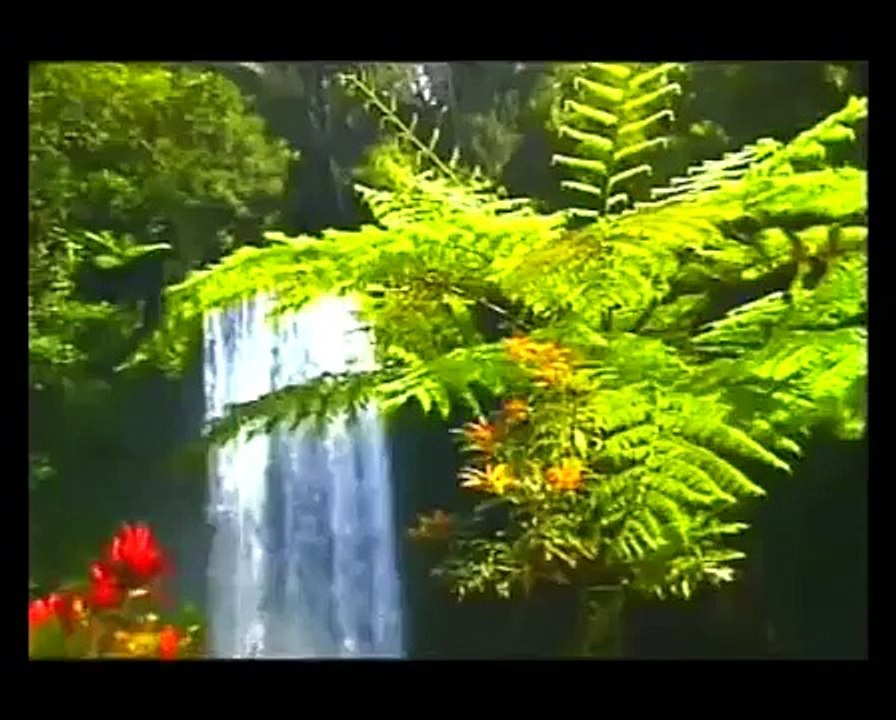 Guerilla - Che Guevara l'argentino (musica Hasta Siempre -Nathalie Cardone-)