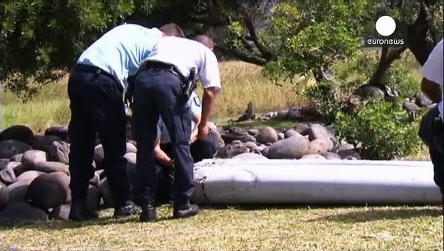 До Франції на експертизу прибуває уламок “Боїнга”, знайдений біля Реюньйону