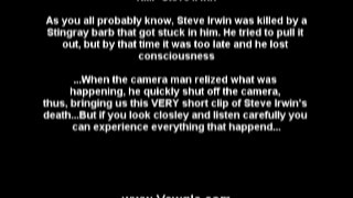 Steve Irwin stingray video - Extreme
