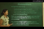 [SAT2 - Biology] Lecture 5: Photosynthesis, Light Reactions, Calvin Cycle