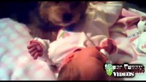 Funny Babies Video  | Cute Videos,Funny Baby Laughing compilation 2015