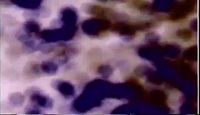 Last House On Hell Street (2002) - Trailer (Horror)