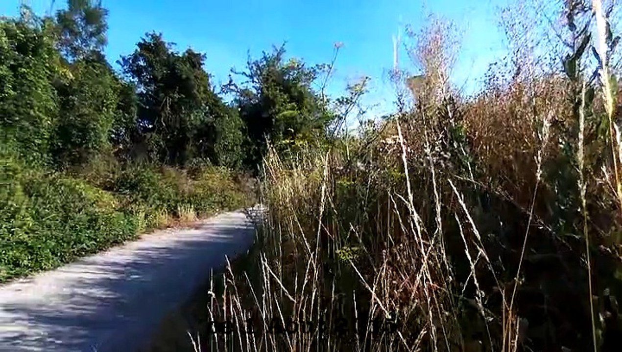 longueau ensoleillé le 01/08/2015