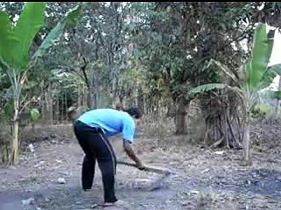 amazing FUNNY video 125