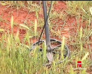 CLM EN VIVO, CAMPEONATO DE DETECTORES METALES