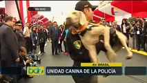 Unidad Canina de la Policía realizó demostración previa al Desfile Militar
