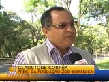 TV Conecta BH - Oito novos animais no Zoológico de BH