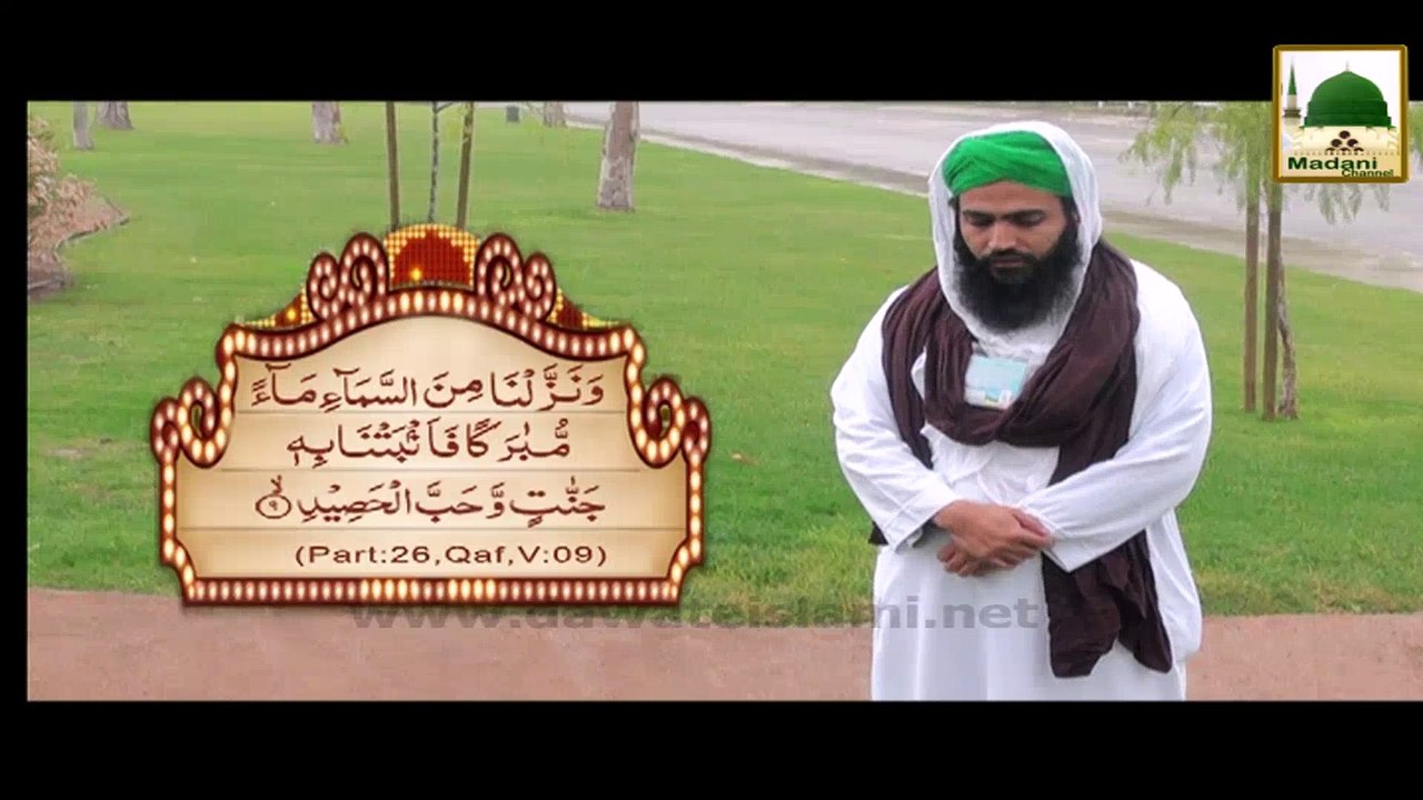 Regarding Rain - Madani Pearl