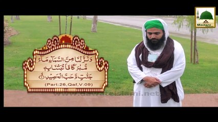 Regarding Rain - Madani Pearl