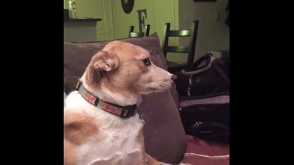 I have no idea what you are talking about