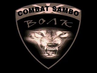 combat sambo vlk