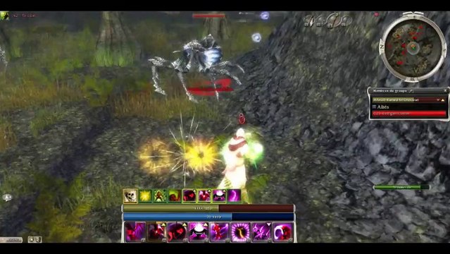 Guild Wars FARM FoW Assassin