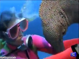 "..Light stories from all over the world..." - Adnan Ali Abbas