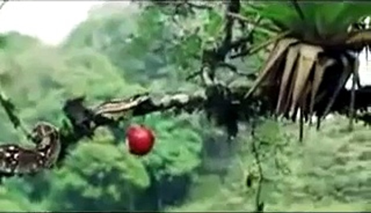 Adam and Eve - Funny Insurance Commercial