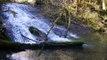 Pêche de la truite fario au toc dans des ruisseaux des Pyrénées, mois de mars 2014