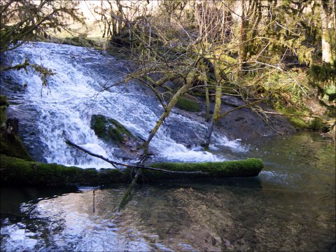 Pêche de la truite fario au toc dans des ruisseaux des Pyrénées, mois de mars 2014