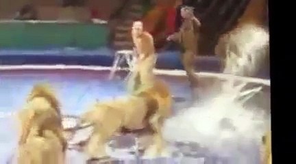 Circus Animal Attact Human Failure Show